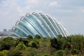 Gardens By the Bay Conservatory - Singapore Royalty Free Stock Photo